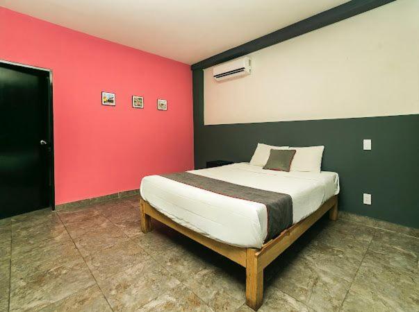 Hotel Adhoc Plaza à Monterrey Extérieur photo