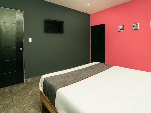Hotel Adhoc Plaza à Monterrey Extérieur photo